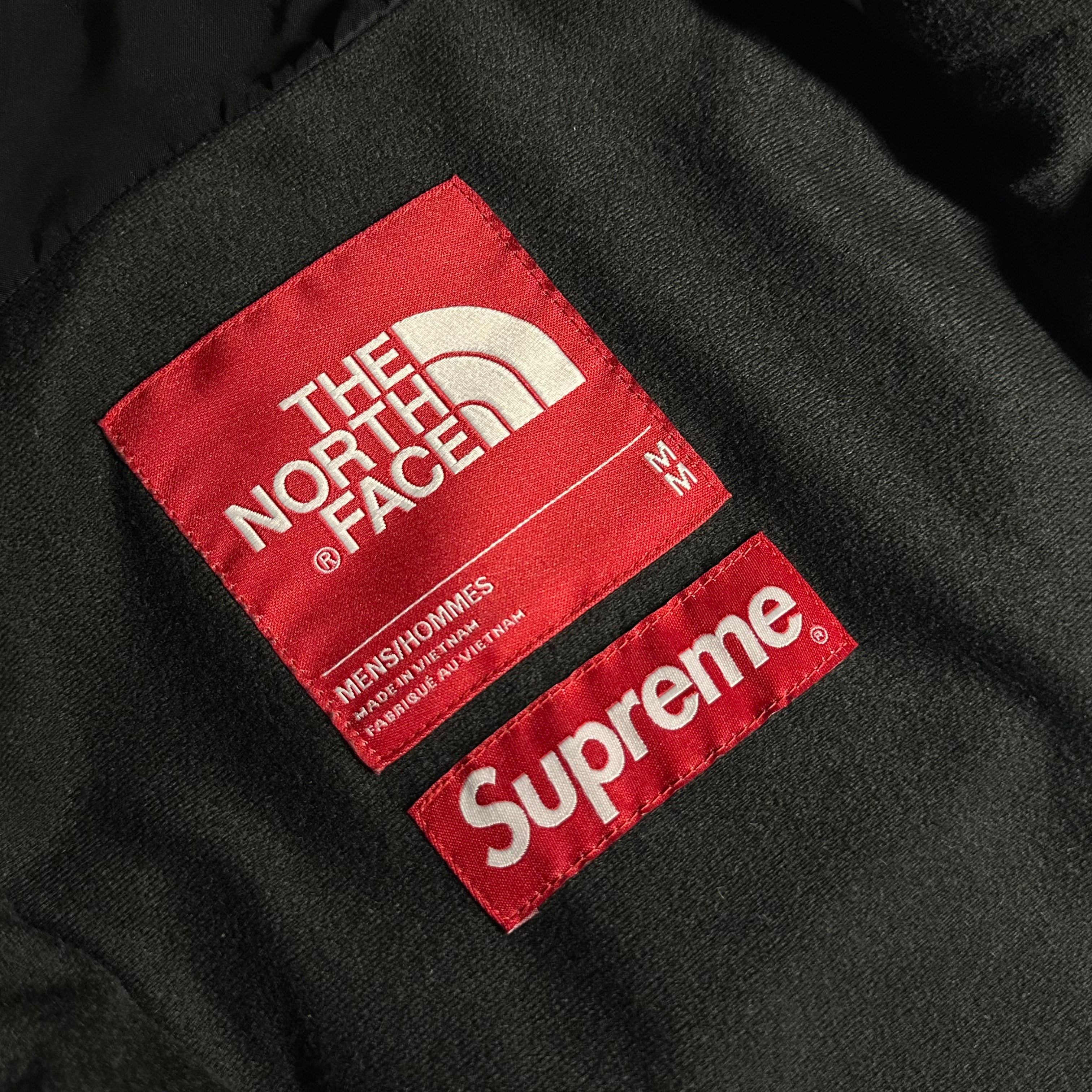 Supreme x The North Face Metallic Mountain Parka